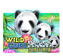 Joker123 : Wild Giant Panda - RICHES138