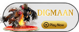 Digman - RICHES138