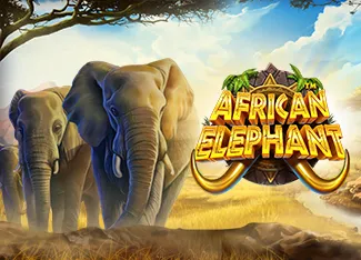 Pragmatic : African Elephant - RICHES138